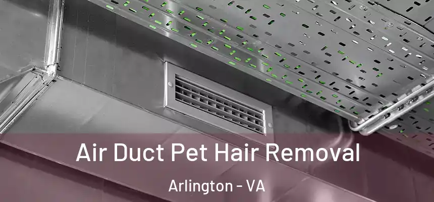 Air Duct Pet Hair Removal Arlington - VA