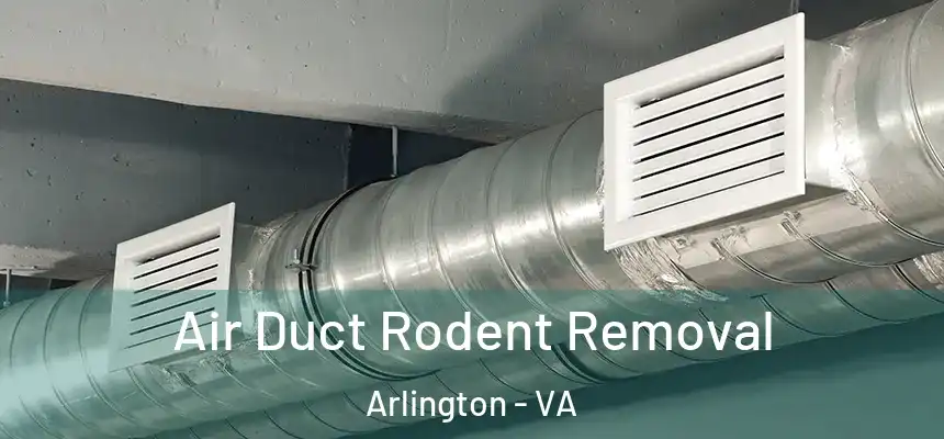 Air Duct Rodent Removal Arlington - VA
