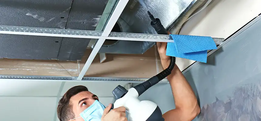 Our Air Duct Rodent Removal Services in Arlington, VA