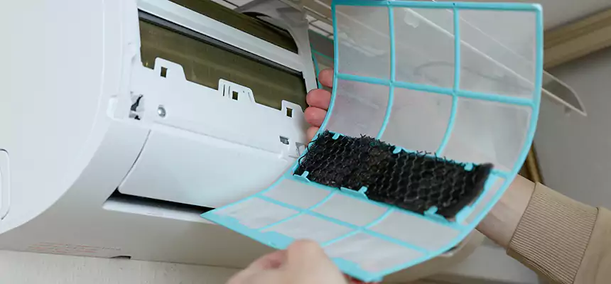 Gentle Ductwork Odor-Control Pet Dander Duct Cleaning in Arlington, VA