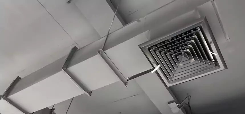 Our Rodent Droppings In Vents Services in Arlington, VA