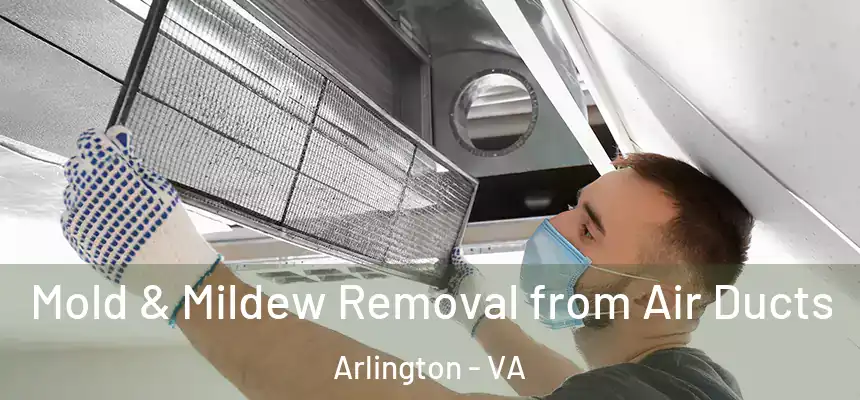 Mold & Mildew Removal from Air Ducts Arlington - VA