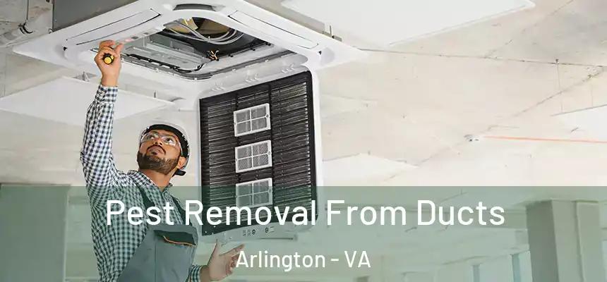 Pest Removal From Ducts Arlington - VA