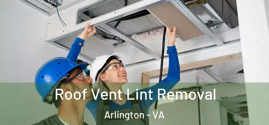 Roof Vent Lint Removal Arlington - VA