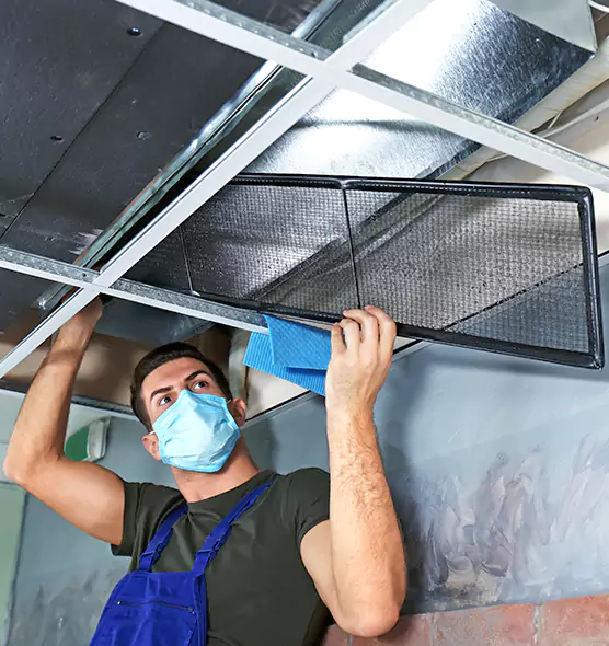 About Air Duct Bacteria Removal in Arlington