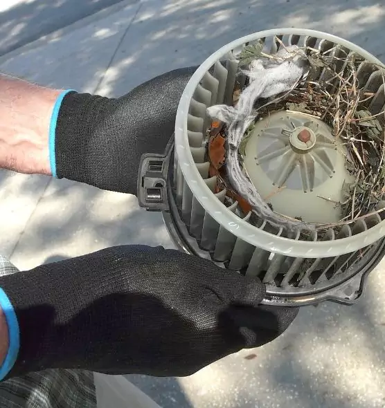 About Air Duct Mice Removal in Arlington, VA