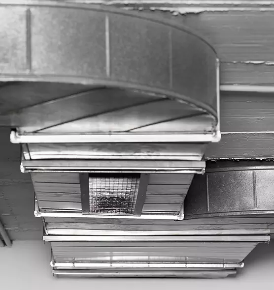 Professional Air Duct Pet Hair Removal in Arlington, VA