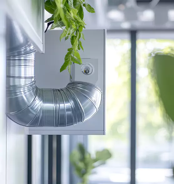 Professional Eco-Safe Dryer Vent Cleaning in Arlington, VA