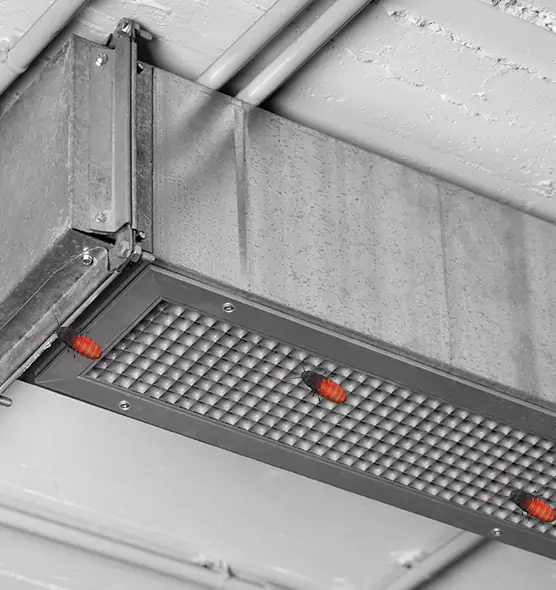 Affordable Insect Removal from Air Ducts in Arlington, VA