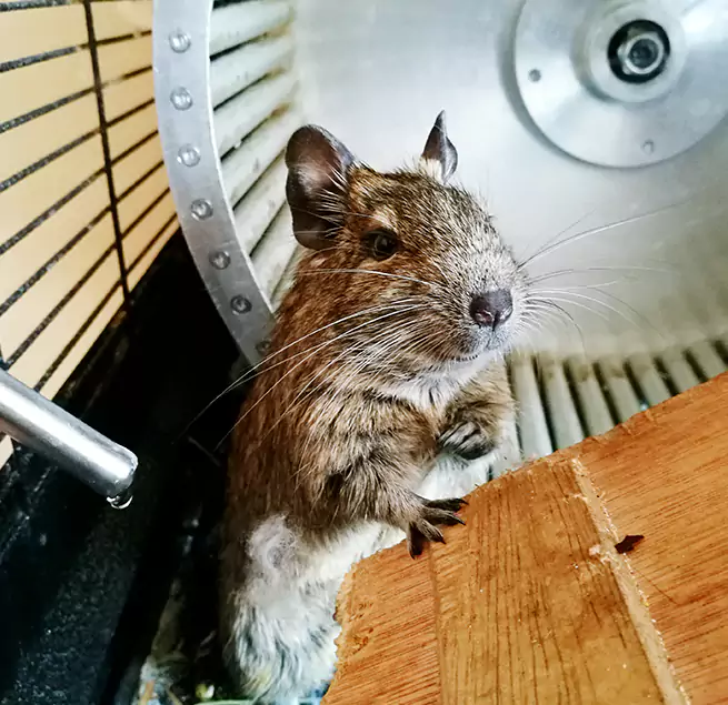 Why Homeowners & Businesses Trust Us Arlington, VA