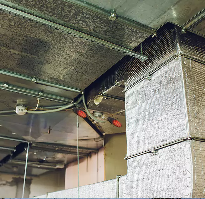 Why Homeowners & Businesses Trust Us Arlington, VA?